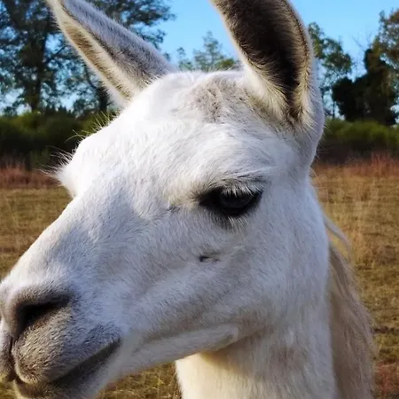 La Borieta * Labastide-de-Penne