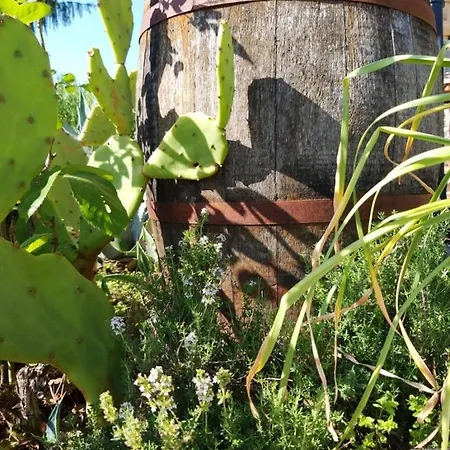 La Borieta Parque de Campismo Labastide-de-Penne