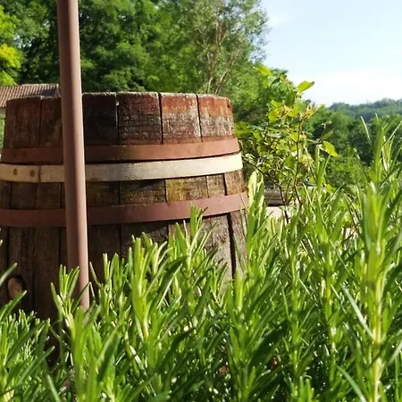 Parque de Campismo La Borieta