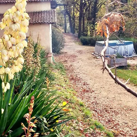 La Borieta Holiday home Labastide-de-Penne