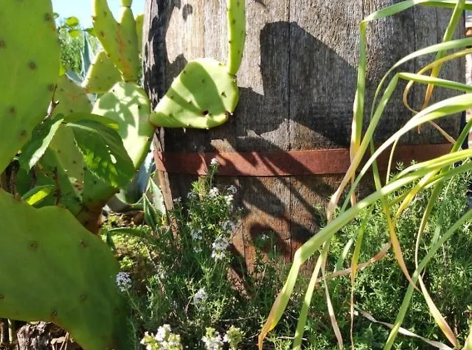 La Borieta Σπίτι διακοπών Labastide-de-Penne