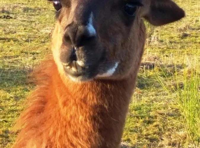 La Borieta Σπίτι διακοπών